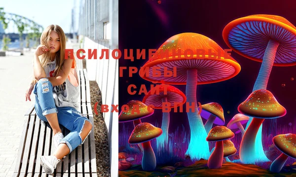 твердый Туринск
